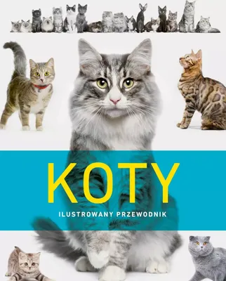 Immagine prodotto di Koty. Ilustrowany przewodnik