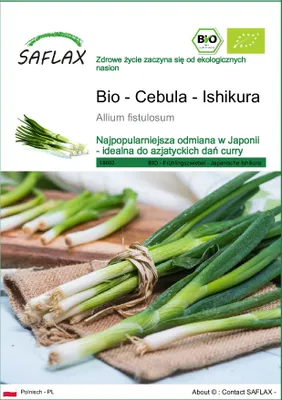 Zdjęcie produktu dla SAFLAX - Bio - Cebula - Ishikura - 150 Nasiona - Allium fistulosum