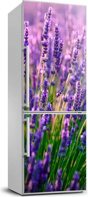 Produktbild von Tulup Kühlschrankdekoration - 70x190 cm - Aufkleber auf dem Kühlschrank - Lavendelfeld