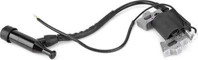 Obrázok produktu pre Zapaľovacia cievka Generátor diely vhodné pre 168F-170F 2KW/3KW benzínový generátor