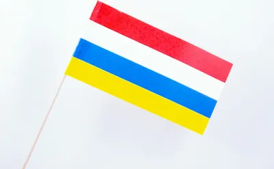 A small flag on a wooden stick against a white background.