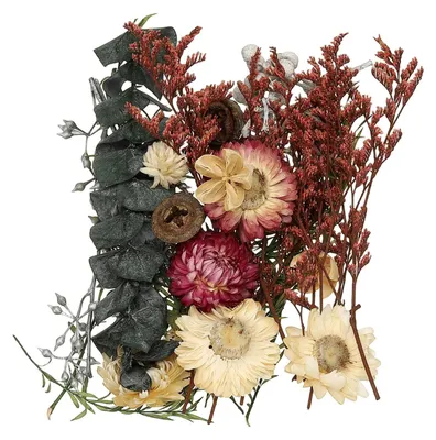 Trockenblumen-Set, gepresst, Grün+Lila, 16,5x11,5x3 cm