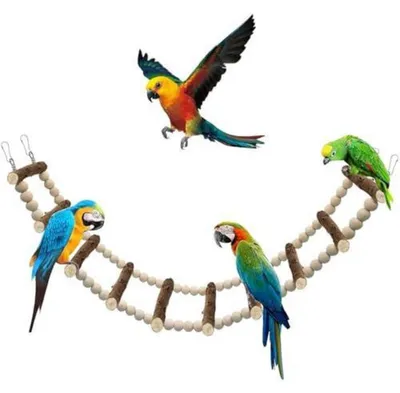 Productafbeelding van Houten klimrek voor vogels, geschikt voor parkieten, kanaries en papegaaien, 64 cm, 10-delig