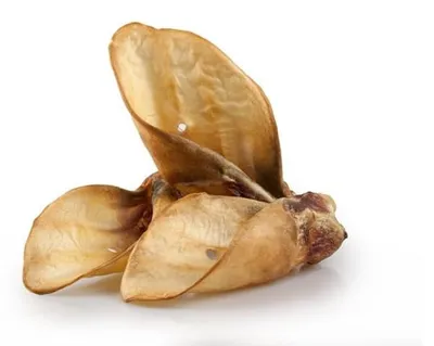 Obrázek produktu pro Hovězí sušené ucho pro psy