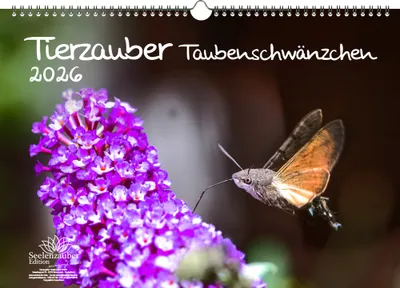 Produktbild von Tierzauber Taubenschwänzchen DIN A3 Kalender für 2026 - Seelenzauber