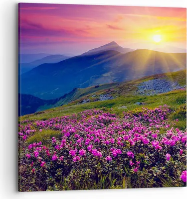Produktbild von Bild auf Leinwand - Leinwandbild - Wiese Berge Landschaft - 70x70cm - Wand Bild - Wanddeko - Leinwanddruck - Bilder - Kunstdruck - Wanddekoration - Leinwand bilder - Wandkunst - AC70x70-2676