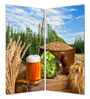 Produktbild von Wallario selbstklebende Duschrückwand 180 x 180 cm mit Motiv Frisch gezapftes Bier, Hopfen und Malz - Wandverkleidung mit Hochglanzlaminat in Glasoptik