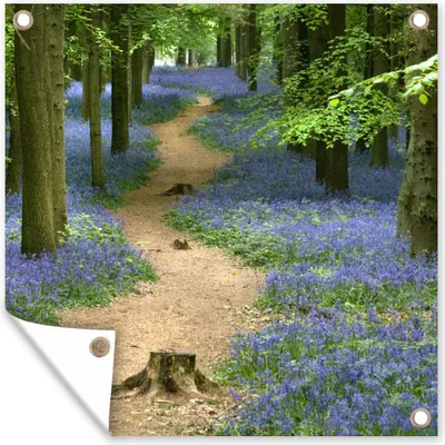 Produktbild von MuchoWow® 50x50 cm Outdoor-Poster Gartendeko Sichtschutz Garten Poster für den Garten  Wald - Weg - Blumen - Blau