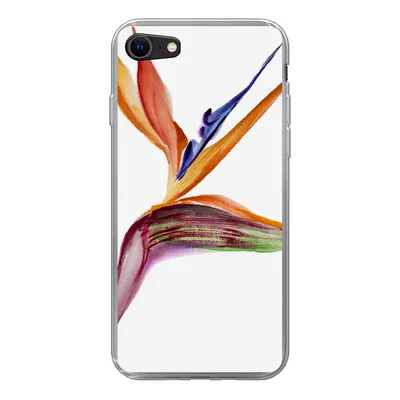 Produktbild von MuchoWow® Handyhülle Schutzhülle Hülle für iPhone 8 Strelitzia - Aquarell - Blumen Silikon Softcase Handy Hülle - Schutzhaube