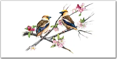 Produktbild von Coloray Bild aus Leinwand 120x60 Leinwand Dekoration - Blumen Tiere