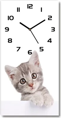 Produktbild von Wanduhr aus Glas – 30x60 cm - Glasbild - Glasuhr - Gehärtetes Glas -Graue Katze