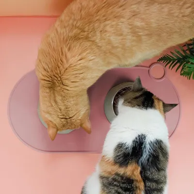 Wasserdichte Silikon-Futtermatte für Katzen und, Hauptbild