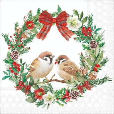 Produktbild von Weihnachten Cocktail Servietten 25x25 cm 3-lagig 20 Servietten Sparrows in wreath