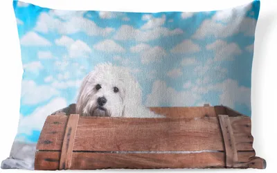 Produktbild von MuchoWow® Outdoor Kissen - Malteser Hund in einer Holzkiste - 50x30 cm - Wetterfest - Lounge Kissen - Sofa kissen - Wohnzimmer Dekoration