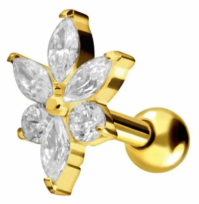 Produktbild von Ohrpiercing Titan Ohrpiercing KRISTALLBLÜTE