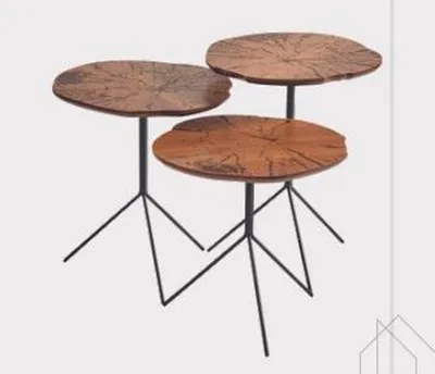 Image de Tables rondes en bois Designer Set de 3 tables basses Salon Tables robustes