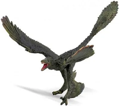 Zdjęcie produktu dla Collecta Dinosaurus Microraptor Junior 20 cm gumowy ciemnozielony