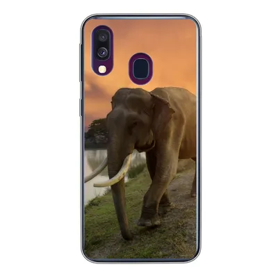 Produktbild von MuchoWow® Handyhülle Schutzhülle Hülle für Samsung Galaxy A40 Elefant - Wasser - Tiere - Sonnenuntergang - Natur Silikon Softcase Handy Hülle - Handy-Tasche