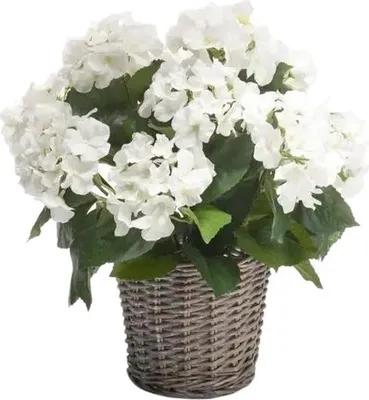 Produktbild von Emerald Künstliche Hortensie - Lenny | 45 cm, inkl. Dekotopf, für drinnen, Kunstblume, wie echt, Allergiker geeignet, pflanzliche Dekoration Praxis, Office & Wohnzimmer