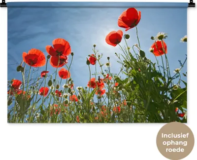 Produktbild von MuchoWow® Wandteppich Wandbehang Strahlende Sonne über einigen Mohnblumen in Spanien 90x60 cm Tapisserie Dekoration Wandtuch - Wandskulpturen - Bildteppich