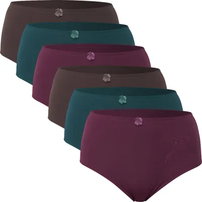 Produktbild von Celodoro Damen Taillenslip (6er Pack) Microfaser-Slip mit Stickerei - Herbstfarben 44-46