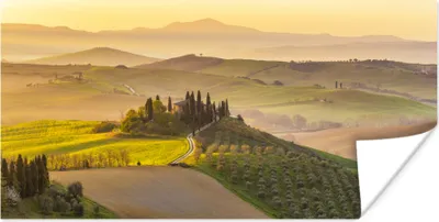 Produktbild von MuchoWow® Poster Italien - Weinberg - Olivengarten 80x40 cm - Wanddeko