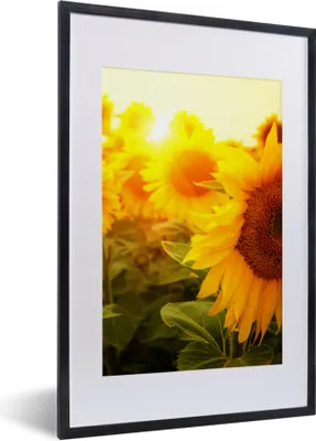 Produktbild von MuchoWow® Gerahmtes Poster Sonnenblume - Gelb - Blumen - Sonne 40x60 cm - Poster mit Schwarzem Bilderrahmen Wandposter Rahmen Foto Bilder - Poster in Rahmen