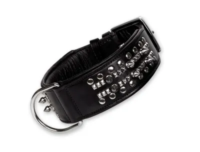 Produktbild von Nobby DELGADO, Hund, Standardkragen, Schwarz, Leder, Einfarbig, 44 cm