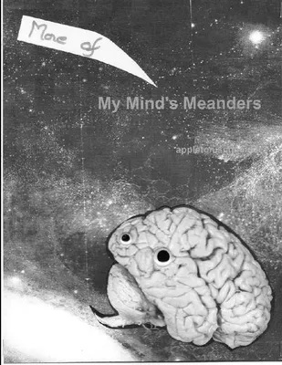 Produktbild von More Mind Meanders (Mine)