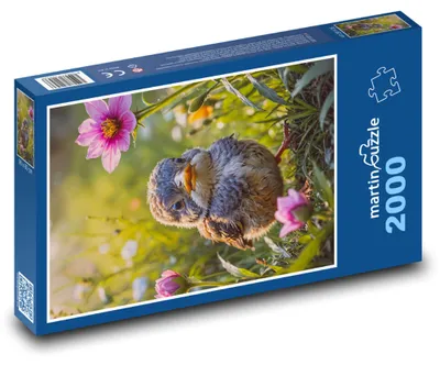 Obrázok produktu pre Puzzle 2000 Vtáčatko medzi kvetmi - martinpuzzle