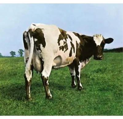 Produktbild von Atom Heart Mother