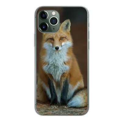 Produktbild von MuchoWow® Handyhülle Schutzhülle Hülle für iPhone 11 Pro Fuchs - Makro - Rot Silikon Softcase Handy Hülle - Handy