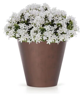 Produktbild von Prosperplast Blumentopf - Kunststoff - Bronze - D30 x 28 cm