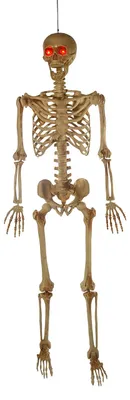 Produktbild von Flexibel Positionierbares Skelett mit roten Leuchtaugen 165 cm, KI-generiertes Bild