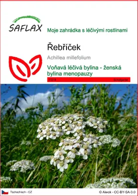 Obrázek produktu pro SAFLAX - řebříček - Achillea millefolium - 200 Semena