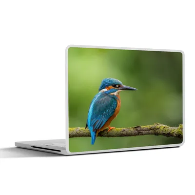 Produktbild von MuchoWow® Laptop Aufkleber Sticker Cover Eisvogel - Zweig - Moos - Vogel - Grün 40x30 cm - Laptop Dekoration - Selbstklebend