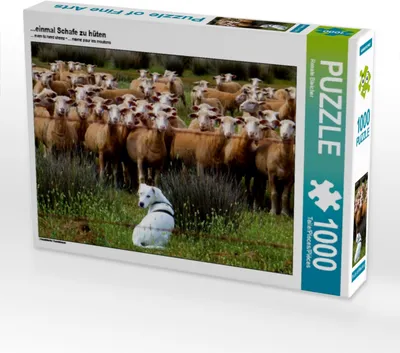 Produktbild von Calvendo ...einmal Schafe zu hüten 1000 Teile Puzzle quer 640x480mm, Bleicher Renate; 7290289