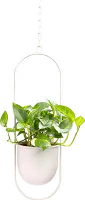 Produktbild von QUVIO Hängeblumentopf - Blumentopf für drinnen - Blumentöpfe - Blumentopf drinnen - Hängende Blumentöpfe drinnen - Hängender Blumentopf - Blumentopf hängend - Blumentopf weiß - Hängender Blumentopf weiß - Metall - Länglich - Weiß