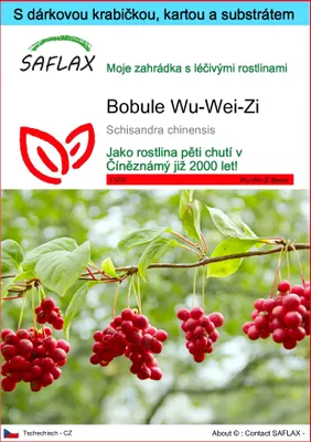 Obrázek produktu pro SAFLAX Dárková sada - bobule Wu-Wei-Zi - Schisandra chinensis - 15 Semena - S dárkovou krabičkou, přepravním štítkem, dárkovou kartou a pěstebním médiem