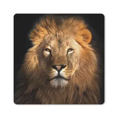 Produktbild von MuchoWow® Mauspad Mousepad Löwe - Tiere - Schwarz - Hell - Braun - Porträt 20x20 cm - Mousepads - Maus Mat - Pad - Mausunterlage - Desk Mat - Bureauartikeln