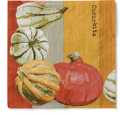 Produktbild von Sovie HORECA Serviette Britta in Terrakotta aus Tissue 40 x 40 cm, 3-lagig, 100 Stück - Herbst Kürbis