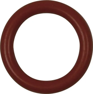 Produktbild von DeLonghi 5332177500 Dichtung (Milchaufschäumer) 12mm. für Kaffeevollautomaten