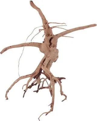 Produktbild von M Siennawurzel Nr.1382 Wurzel Holz Aquarium Deko Aquascaping