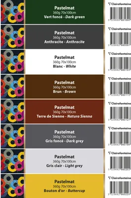 Produktbild von Clairefontaine Etiketten Pastelmat gegenkaschiert 70x100 cm - 93919C