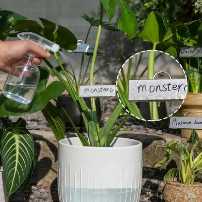 Produktbild von Bamworld – Pflanzenschilder für Garten Wetterfeste Pflanzenetiketten, für Gewächshaus & Außenbereich, 30 Stk