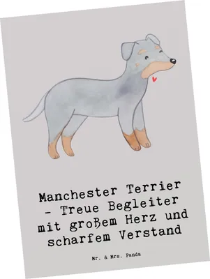 Produktbild von Mr. & Mrs. Panda Postkarte Manchester Terrier Begleiter - Grau Pastell - Geschenk, Freundschaft, Postkarten, Hunderassen, Beschreibung, Ansichtskarten, Vielfalt, Hund