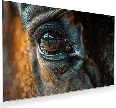 Produktbild von Glasbild 120x80cm in XXL für Wohnzimmer, Schlafzimmer Motiv Pferdeauge