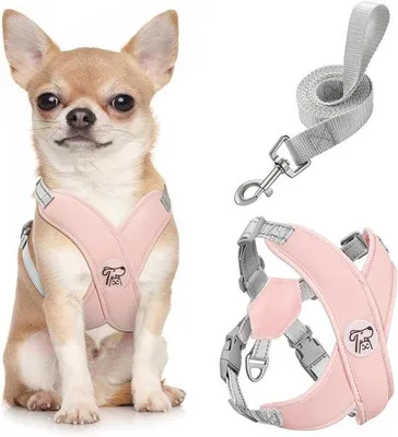 Imagen del producto de Arnés transpirable para perros Ibenzoa® de malla con correa – arnés ajustable para perros pequeños y medianos y cachorros, color rosa