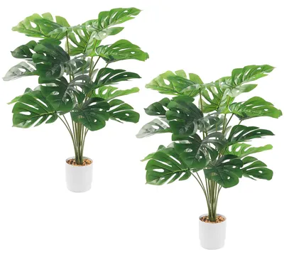Image de Plante artificielle Monstera en pot - Lot de 2 pièces, hauteur 75 cm