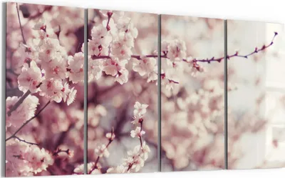 Produktbild von DEQORI Glasbild Echtglas 4x30x60 cm 'Kirschblütenzweige' Wandbilder XXL groß